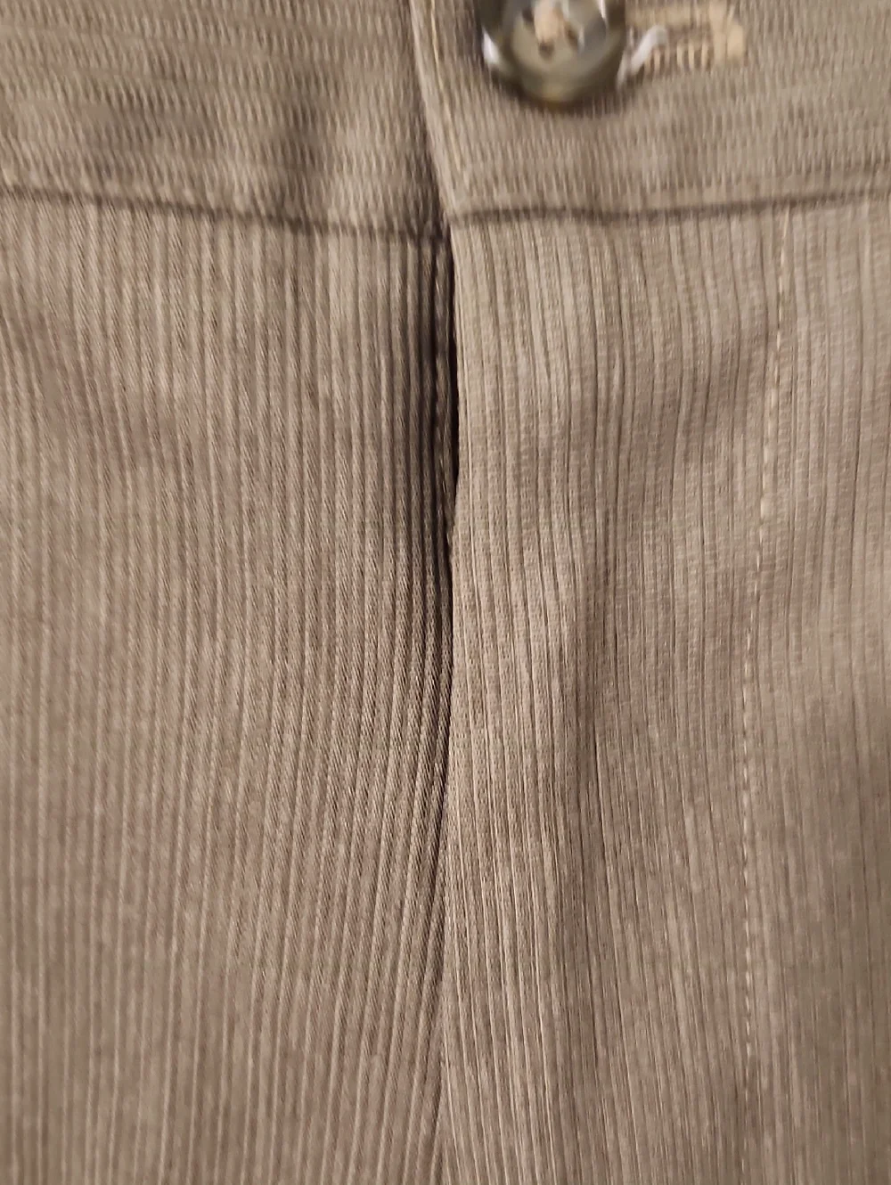 Izod Men's Green/Brown Dress Pants - Classic Straight Fit